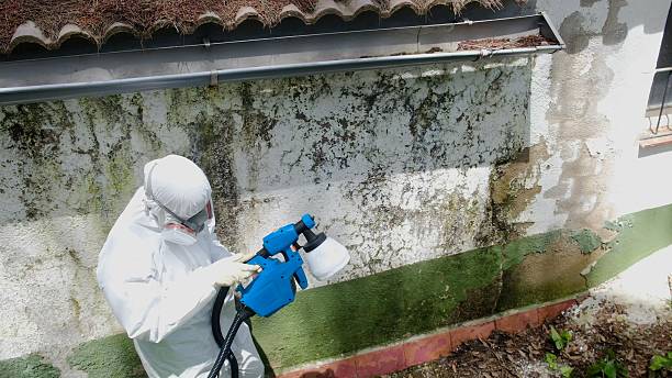Top rated local Crawl Space Mold Remediation specialists in Hampton, GA